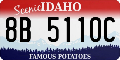 ID license plate 8B5110C