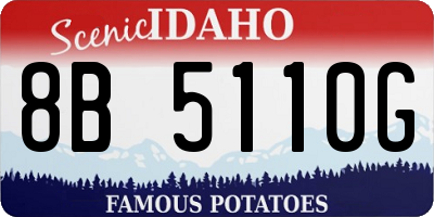 ID license plate 8B5110G