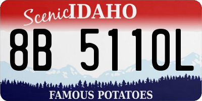ID license plate 8B5110L