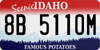 ID license plate 8B5110M