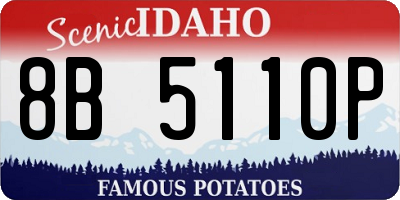 ID license plate 8B5110P