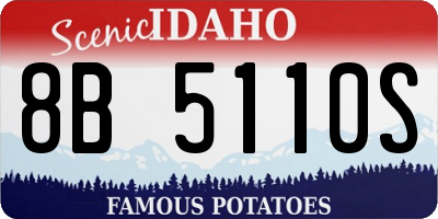 ID license plate 8B5110S