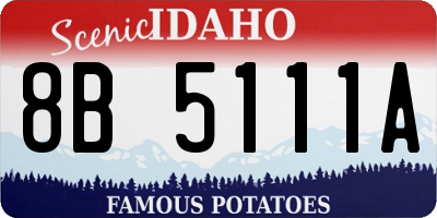 ID license plate 8B5111A