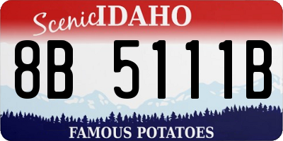 ID license plate 8B5111B