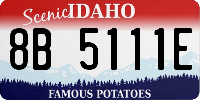 ID license plate 8B5111E