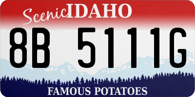 ID license plate 8B5111G