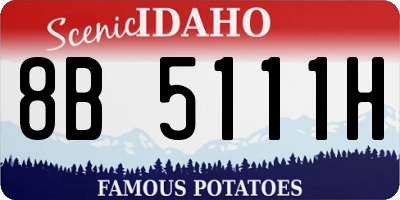 ID license plate 8B5111H
