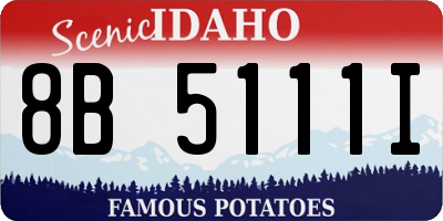 ID license plate 8B5111I