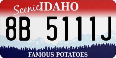 ID license plate 8B5111J