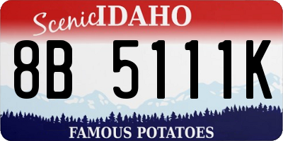 ID license plate 8B5111K