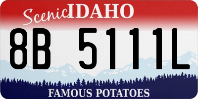 ID license plate 8B5111L