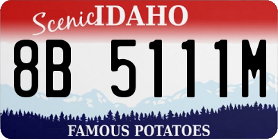 ID license plate 8B5111M