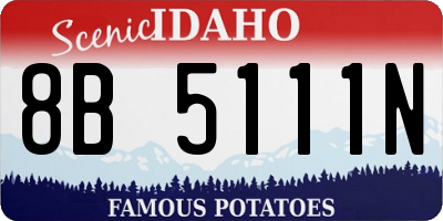 ID license plate 8B5111N