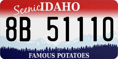 ID license plate 8B5111O