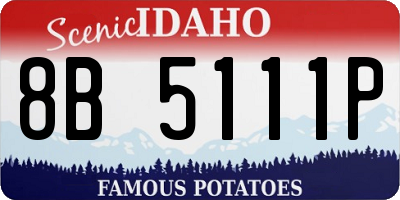 ID license plate 8B5111P