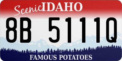 ID license plate 8B5111Q