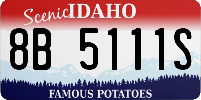 ID license plate 8B5111S