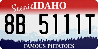ID license plate 8B5111T
