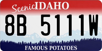 ID license plate 8B5111W