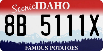 ID license plate 8B5111X