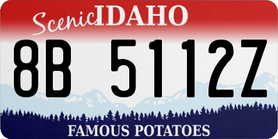 ID license plate 8B5112Z