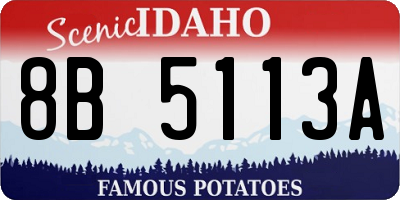 ID license plate 8B5113A
