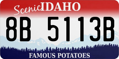 ID license plate 8B5113B