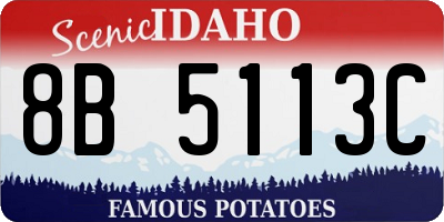 ID license plate 8B5113C