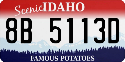 ID license plate 8B5113D