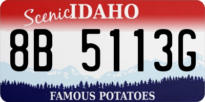 ID license plate 8B5113G