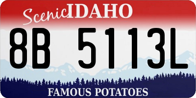 ID license plate 8B5113L