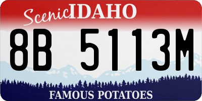 ID license plate 8B5113M