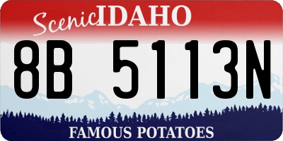 ID license plate 8B5113N