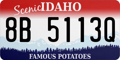 ID license plate 8B5113Q
