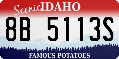 ID license plate 8B5113S