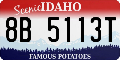 ID license plate 8B5113T