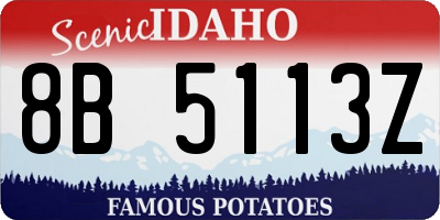 ID license plate 8B5113Z