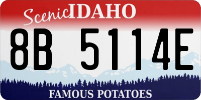 ID license plate 8B5114E