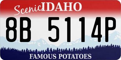 ID license plate 8B5114P