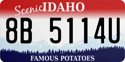 ID license plate 8B5114U