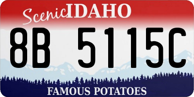 ID license plate 8B5115C