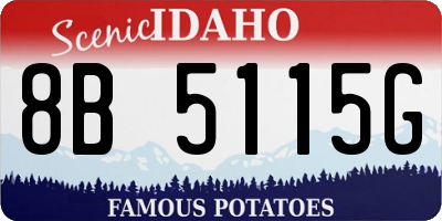 ID license plate 8B5115G