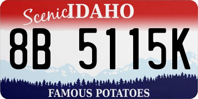 ID license plate 8B5115K