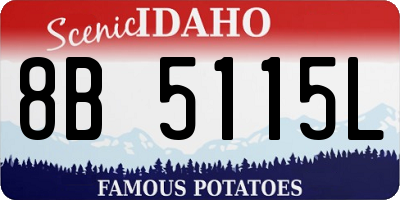 ID license plate 8B5115L