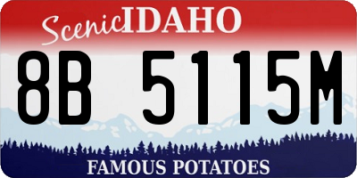 ID license plate 8B5115M