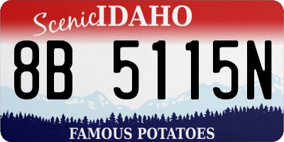 ID license plate 8B5115N