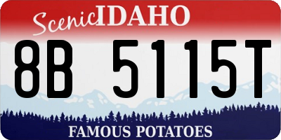 ID license plate 8B5115T