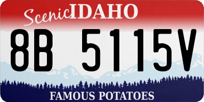 ID license plate 8B5115V