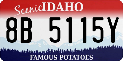ID license plate 8B5115Y