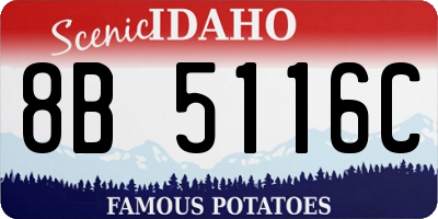 ID license plate 8B5116C